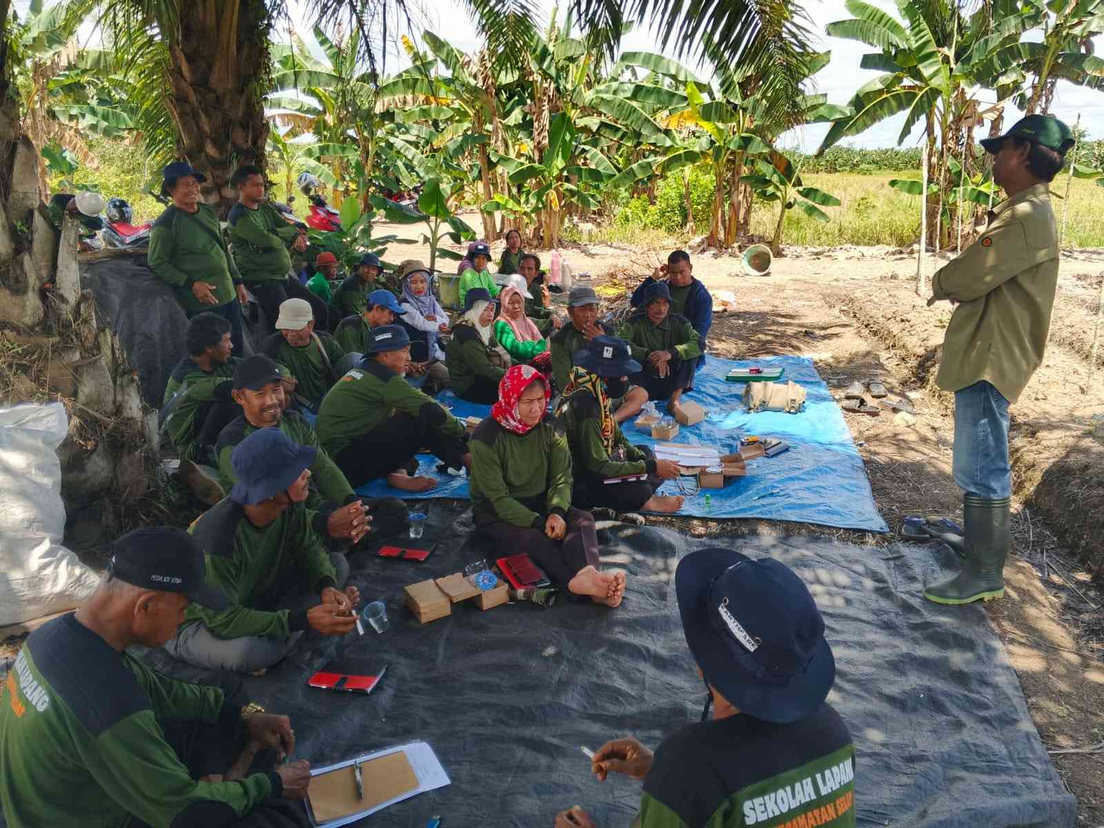 Petani Cabai Di Kapuas Mendapat Pembekalan Sekolah Lapang Pengendalian Hama Terpadu (SLPHT)