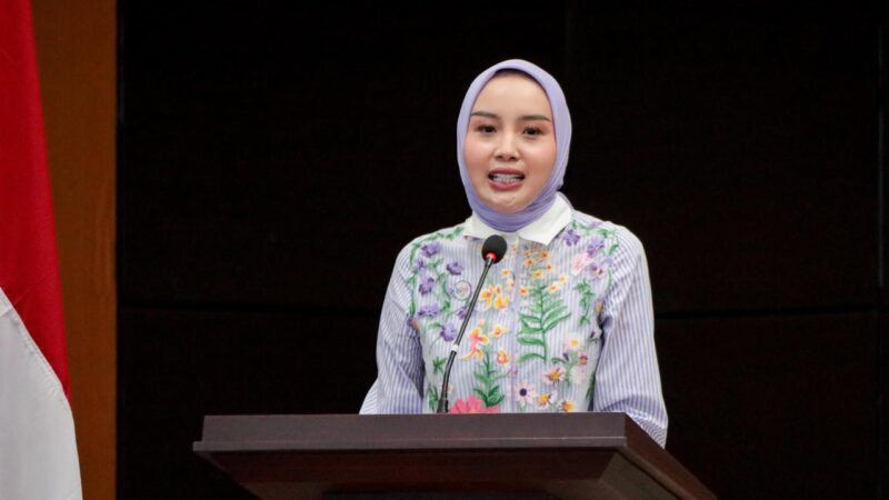 Sosialisasi 6 SPM, Aisyah Thisia Agustiar Sabran Tekankan Pentingnya Transformasi Posyandu di Kabupaten Katingan