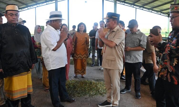Dukung Pengembangan Kewirausahaan Peternakan, Gubernur Agustiar Sabran Tinjau Sentra Produksi BJA Farm di Kobar